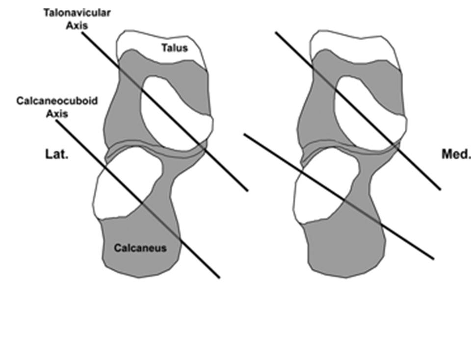 Foot Anatomy and Biomechanics Foot & Ankle Orthobullets